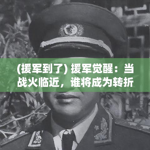 (援军到了) 援军觉醒：当战火临近，谁将成为转折点？揭秘关键时刻的英雄崛起