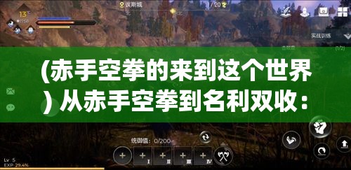 (赤手空拳的来到这个世界) 从赤手空拳到名利双收：揭秘我的奋斗之路与非凡成就的传奇故事