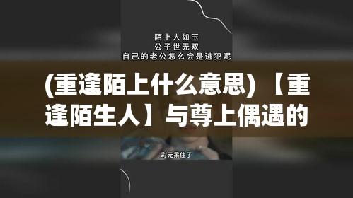 (重逢陌上什么意思) 【重逢陌生人】与尊上偶遇的瞬间，我不知道怎么表达我的敬意：突然相遇，忘却曾间隔的尊严与距离。